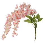 ΚΡΕΜΑΣΤΗ ΡΙΖΑ ΡΟΖ ΑΚΑΚΙΑ  60εκ