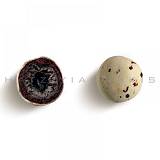 ΒΟΤΣΑΛΟ ΙΘΑΚΗ 1KG