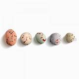 ΒΟΤΣΑΛΑ ΑΝΑΜΕΙΚΤΑ 1KG   70ΤΕΜ