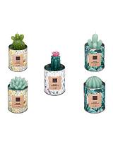 Κασπώ μεταλ.με κερί citronella 5σχ. 7,5X14,5