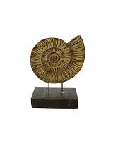 Κοχύλι σε βάση 16,5Χ23