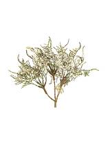 Limonium εκρού κλαδί 41εκ.