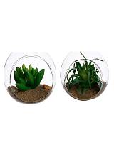 Μπάλα γυαλ.κρεμ. με κάκτο 8Χ7Χ10 2σχ.