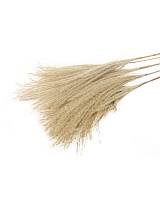 PAMPAS FLUFFY 10pc NATURAL