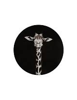 Πίνακας τοίχου γυαλ.Girafe ασπρόμαυρο 60X60