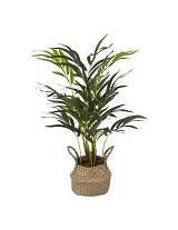 Πρασινάδα  σε καλάθι 50Χ80