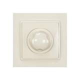 ΡΟΟΣΤΑΤΗΣ ΩΜΙΚΟΣ 800W ΜΠΕΖ