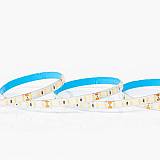 ΤΑΙΝΙΑ LED 5M 12W 12V 6500K 120L/M IP54 PRO