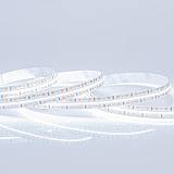 ΤΑΙΝΙΑ LED 5M 24W 24V 6500Κ IP20 PRO