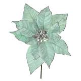 ΜΕΝΤΑ ΑΛΕΞΑΝΔΡΙΝΟ ΠΙΚ 25εκ