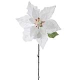 ΛΕΥΚΟ ΑΛΕΞΑΝΔΡΙΝΟ ΚΛΑΔΙ 75ΕΚ