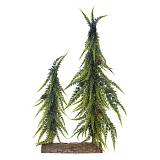 ΔΕΝΤΡΑΚΙΑ ΔΙΠΛΑ ΜΕ ΧΡΥΣΑ GLITTER ΣΕ ΞΥΛΙΝΗ ΒΑΣΗ 30X5X45EK