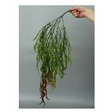 ΡΙΖΑ ΠΡΑΣΙΝΑΔΑ 90ΕΚ