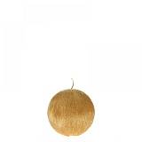 ΧΡΥΣΟ ΚΕΡΙ ΜΠΑΛΑ SCRATCH 8 ΕΚ