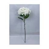 ΜΕΓΑΛΗ ΠΡΑΣΙΝΗ ΟΡΤΑΝΣΙΑ 100ΕΚ Φ30ΕΚ ΚΛΑΔΙ