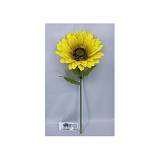 ΓΙΓΑΣ ΗΛΙΑΝΘΟΣ 115ΕΚ  Φ50ΕΚ ΚΛΑΔΙ