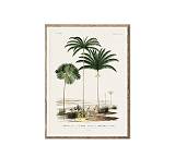 Πίνακας γκραβούρα φοίνικες, 50x70cm PI333
