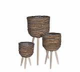 Κασπώ "Banana leaf" με ξύλινα πόδια Σ/3 HE283