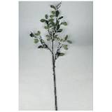 ΕΛΙΑ ΚΛΑΔΙ 20Χ92ΕΚ