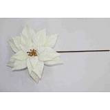 ΚΡΕΜ ΑΛΕΞΑΝΔΡΙΝΟ ΠΙΚ 30Χ50ΕΚ