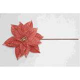 ΚΟΡΑΛΙ ΑΛΕΞΑΝΔΡΙΝΟ ΠΙΚ 30Χ50ΕΚ