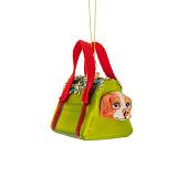 ΠΡΑΣΙΝΗ ΓΥΑΛΙΝΗ ΤΣΑΝΤΑ ΜΕ ΣΚΥΛΟ ΚΡΕΜΑΣΤΟ ΣΤΟΛΙΔΙ 9Χ5Χ5ΕΚ