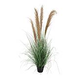 ΔΙΑΚΟΣΜΗΤΙΚΟ ΦΥΤΟ ΣΕ ΓΛΑΣΤΡΑ Fylliana 9571 ΜΠΕΖ ΧΡΩΜΑ 33x33x125εκ