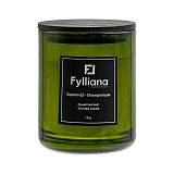 ΑΡΩΜΑΤΙΚΟ ΚΕΡΙ Fylliana FL6478 "ΣΑΜΠΑΝΙΑ" ΣΕ ΓΥΑΛΙΝΟ ΒΑΖΑΚΙ  105gr ΚΑΙ ΣΥΣΚΕΥΑΣΙΑ ΔΩΡΟΥ ΠΡΑΣΙΝΟ ΧΡΩΜΑ 6.3x7.8εκ
