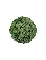 Ευκάλυπτος μπάλα Φ28cm