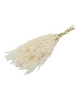 Φτέρη φυσικό Η70cm