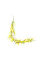 Γιρλάντα Μιμόζα κίτρινη Η150cm