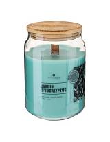 Κερί σε βάζο με καπάκι "eucalyptus" 435g/Φ9Η13cm