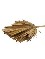 Κλαδί φοίνικα φυσικό 45x110cm