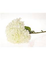 Κλαδί ορτανσία λευκή Φ30Η111cm