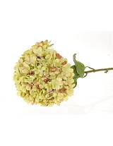 Κλαδί ορτανσία πράσινη Φ30Η111cm