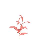 Κλαδί ροζ φύλλα Η112cm