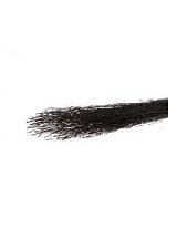 Saras grass 100gr