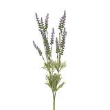 ΜΠΟΥΚΕΤΟ ΛΕΒΑΝΤΑ X5 51EK