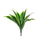 Μάτσο φύλλα αλόης σε πρασινο/κίτρινο χρ.57cm AX588