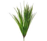 Monkey grass, 52cm FL140