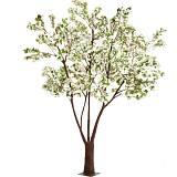 ΔΕΝΤΡΟ ΛΕΥΚΟ ΒΟΥΚΑΜΒΙΛΙΑ 320ΕΚ