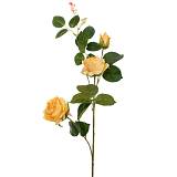 ΚΙΤΡΙΝΟ ΚΛΑΔΙ ΤΡΙΑΝΤΑΦΥΛΛΟ Χ3 75ΕΚ