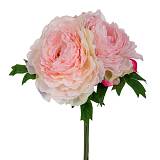 ΡΟΖ ΜΠΟΥΚΕΤΟ ΜΕ ΠΑΙΩΝΙΕΣ X3 Φ20Χ27ΕΚ