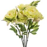 ΛΑΧΑΝΙ ΜΠΟΥΚΕΤΟ ΧΡΥΣΑΝΘΕΜΟ 55ΕΚ Χ5