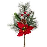 ΠΡΑΣΙΝΟ ΠΙΚΑΚΙ ΜΕ ΚΟΚΚΙΝΟ ΑΛΕΞΑΝΔΡΙΝΟ ΚΑΙ BERRIES 48ΕΚ