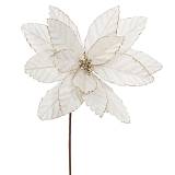 ΙΒΟΥΑΡ ΒΕΛΟΥΔΙΝΟ ΑΛΕΞΑΝΔΡΙΝΟ 60ΕΚ