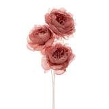 ΣΚΟΥΡΟ ΡΟΖ ΜΠΟΥΚΕΤΟ DAVID AUSTIN ΤΡΙΑΝΤΑΦΥΛΛΟ Χ3 65ΕΚ.