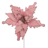 ΡΟΖ ΑΛΕΞΑΝΔΡΙΝΟ ΚΛΑΔΙ Φ45Χ70ΕΚ