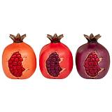 ΣΕΤ 3  ΠΟΛΥΡΕΖΙΝ ΔΙΑΚΟΣΜΗΤΙΚΑ ΡΟΔΙΑ 26Χ11Χ9ΕΚ