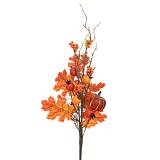 ΦΘΙΝΟΠΩΡΙΝΟ ΚΛΑΔΙ ΜΕ ΚΑΡΠΟΥΣ 65ΕΚ